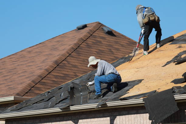 Best Steel Roofing  in Eagle, CO